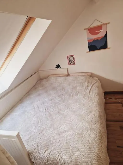 Lightful Architectural House Villa Ghent Belgium